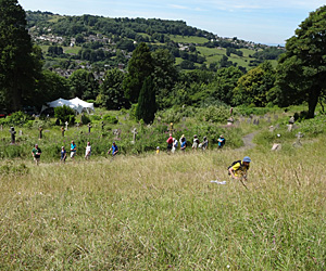 Looking down on surveyors and a wildflower walk in Stroud Cemetery Nature Reserve