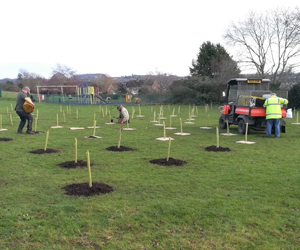 Planting the new copse at Uplands Playing Field